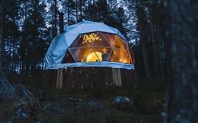 Aurora Dome&Glamping